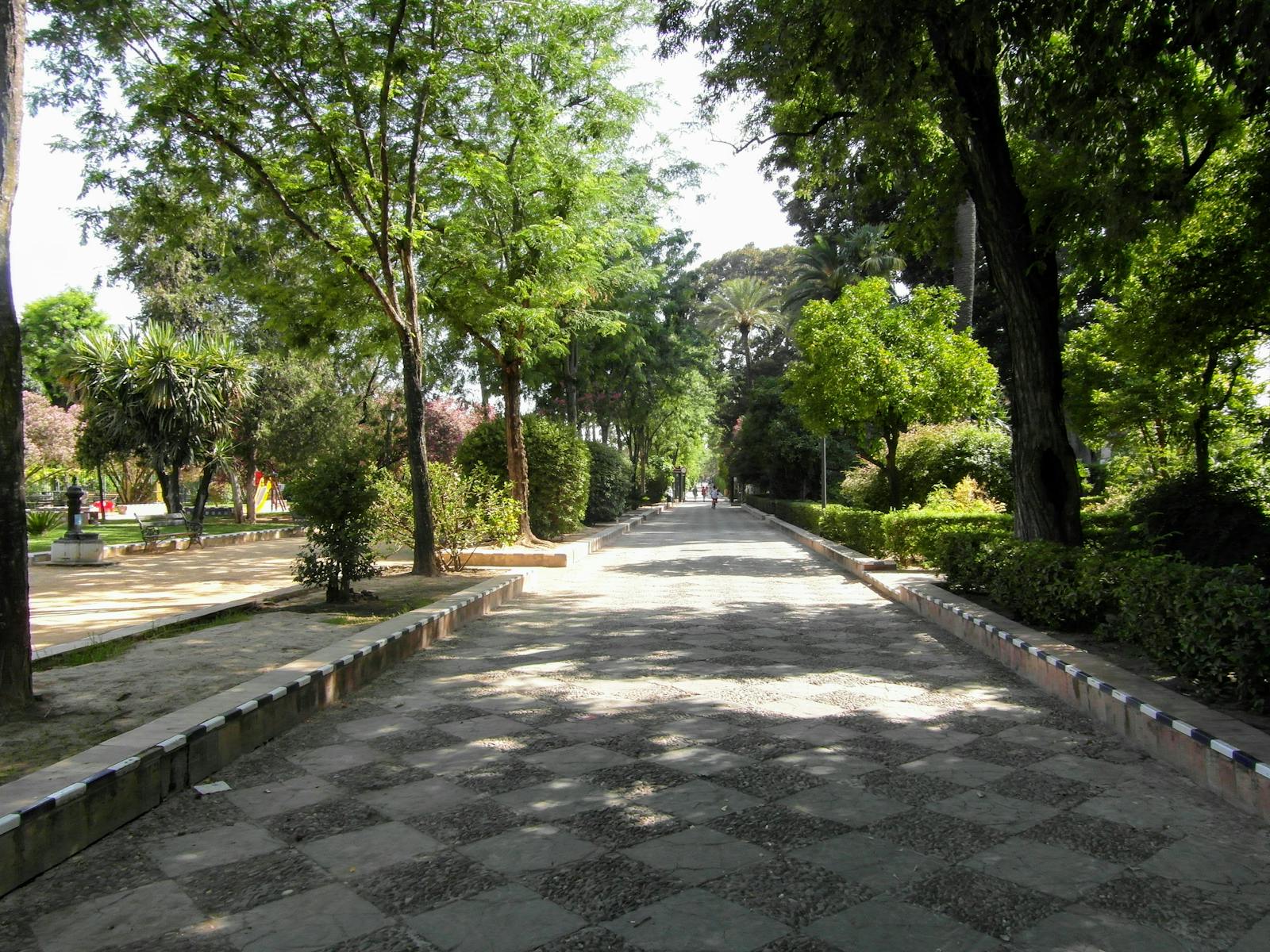 HALENA オールインワンジェルの補助イメージ